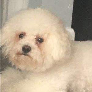 Meet your Posher, Anais